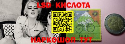 индика Сланцы