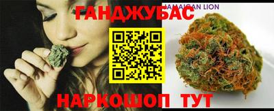 индика Сланцы