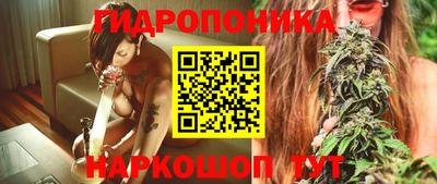 индика Сланцы