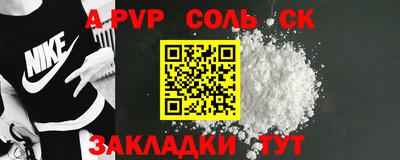 индика Сланцы