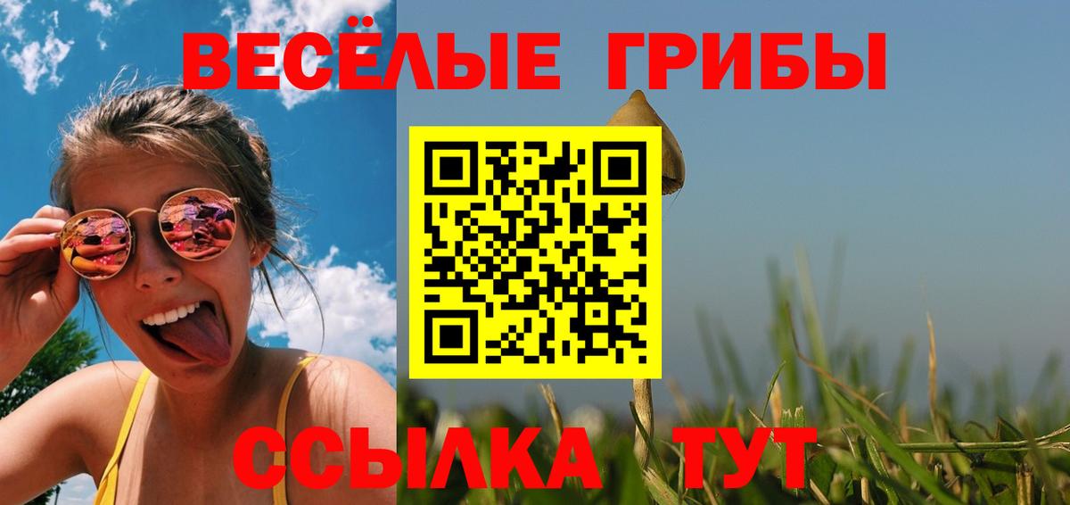 Псилоцибиновые грибы Psilocybine cubensis  Вход с VPN  Нижнеудинск 