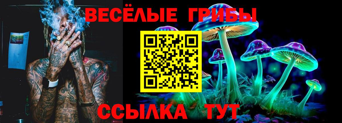 Галлюциногенные грибы мухоморы Нижнеудинск