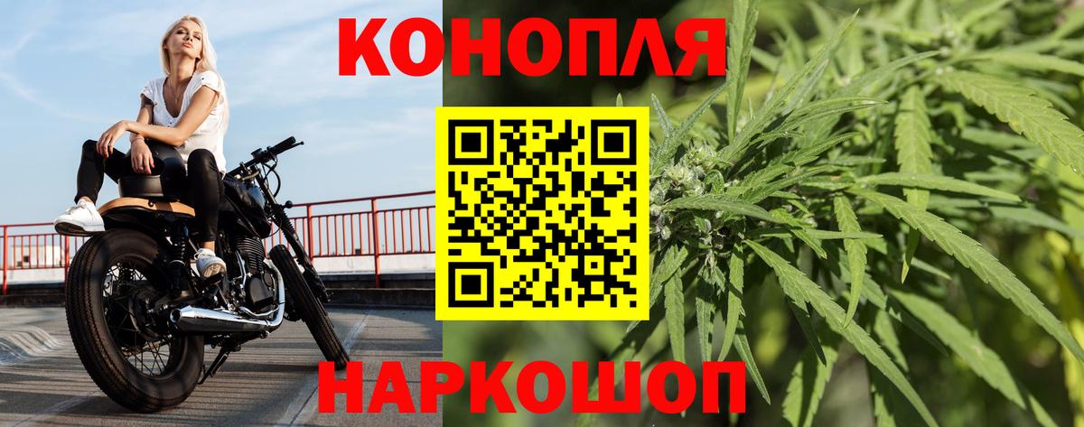 Конопля план Нижнеудинск